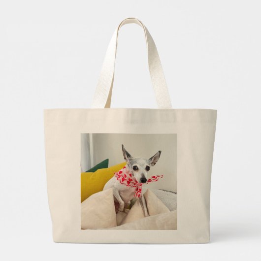 tas van parelhoes (Achterkant)