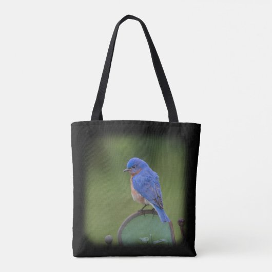 Tas voor blauwe en groene blauwvogel voor vogellov (Achterkant)