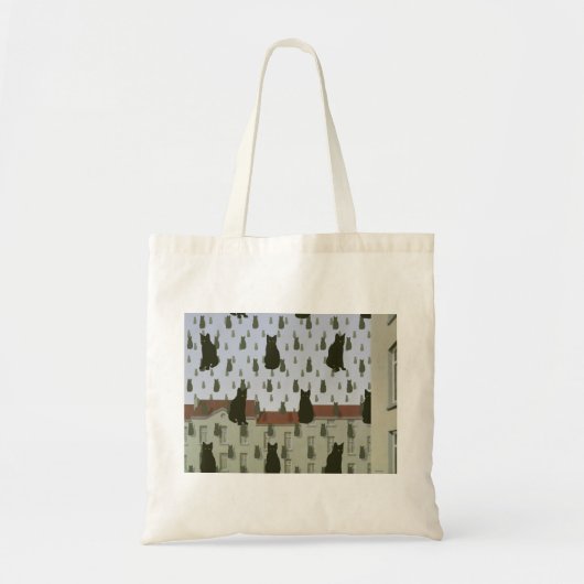 tas voor de kattenbegroting (Voorkant)