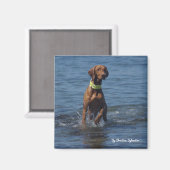 Tasha1 Magneet (Voorkant / Achterkant)