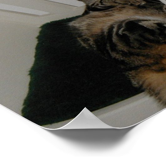 Tasha-Beer Poster (Hoek)