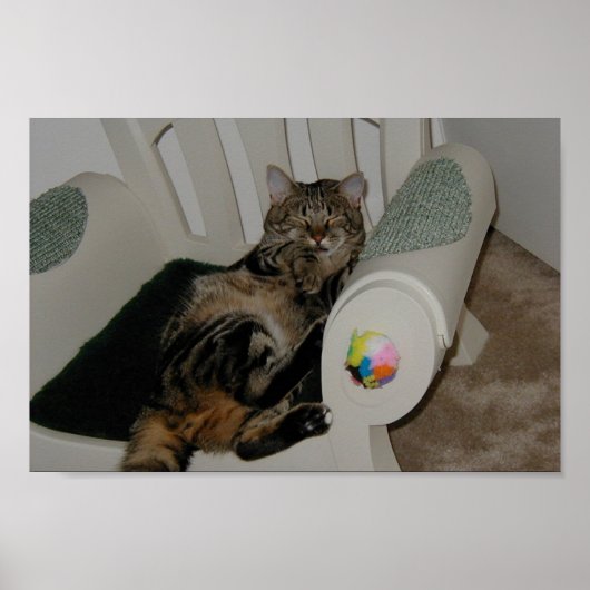 Tasha-Beer Poster (Voorkant)