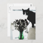 Tasha de Tuxedo Cat Briefkaart (Voorkant / Achterkant)