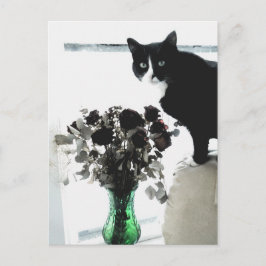 Tasha de Tuxedo Cat Briefkaart