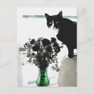 Tasha de Tuxedo Cat Briefkaart