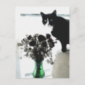 Tasha de Tuxedo Cat Briefkaart (Voorkant)