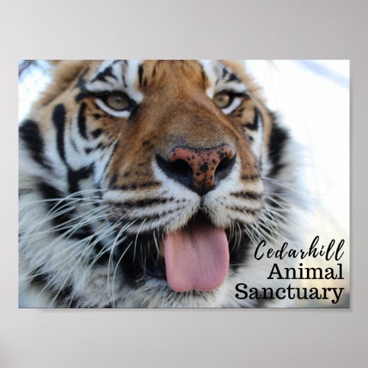 Tashara3 Poster (Voorkant)