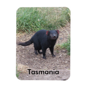 Tasmaans Flexible Magnet Magneet