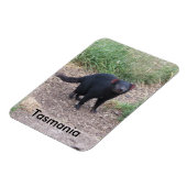 Tasmaans Flexible Magnet Magneet (Linkerzijde)