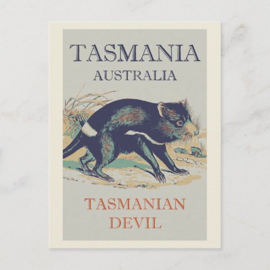 Tasmaanse duivel, iconisch dier Tasmanie Australië Briefkaart (Voorkant)
