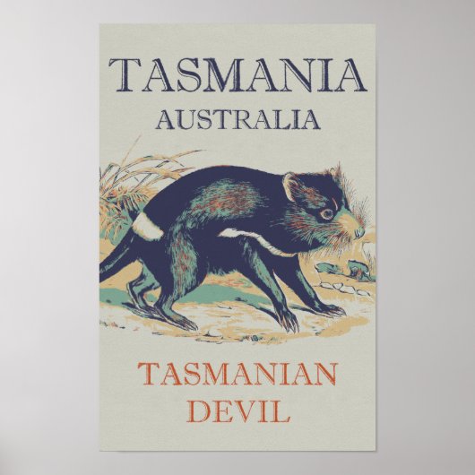 Tasmaanse duivel, iconisch dier Tasmanie Australië Poster (Voorkant)