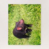 tasmaanse duivel legpuzzel (Verticaal)