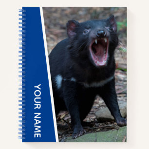 Tasmaanse Duivel, Tasmanië, Australië, Blauw Notitieboek