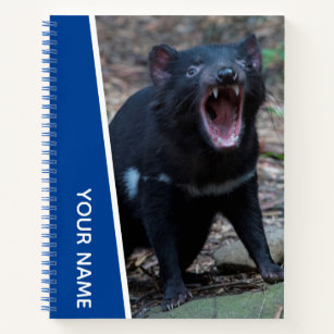 Tasmaanse Duivel, Tasmanië, Australië, Blauw Notitieboek
