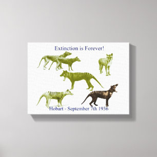 Tasmaanse tijger thylacine canvas Print