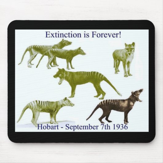 Tasmaanse tijger Thylacine-Muismat Muismat (Voorkant)