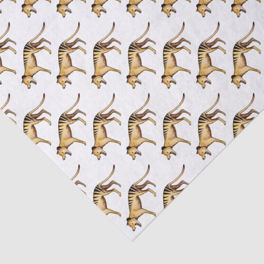 Tasmaanse tijger, Thylacine Tissuepapier (Detail)