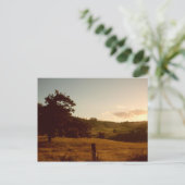 Tasmaanse zomerzonsondergang briefkaart (Staand voorkant)