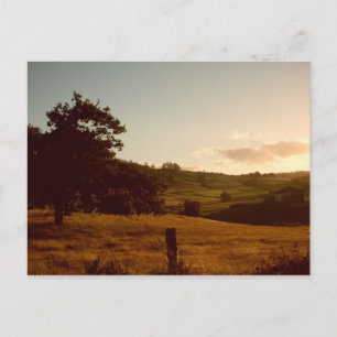 Tasmaanse zomerzonsondergang briefkaart