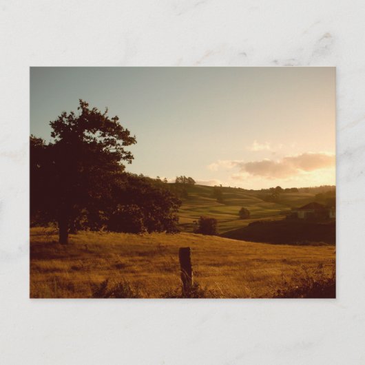 Tasmaanse zomerzonsondergang briefkaart (Voorkant)