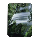 Tasmania, Mt. Field National Park, Russell Herfste Magneet (Verticaal)