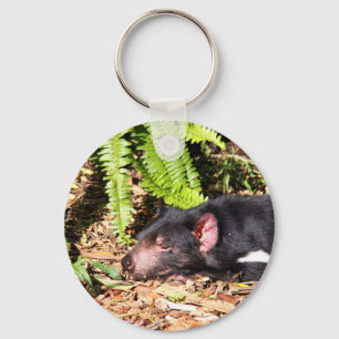 Tasmanian Devil Basking in the Sunlight Sleutelhanger