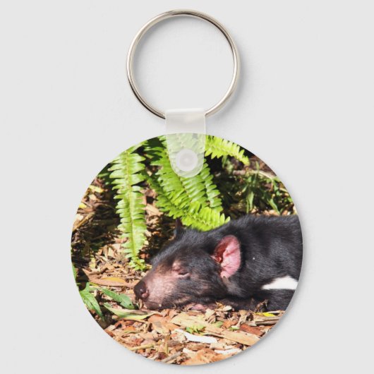 Tasmanian Devil Basking in the Sunlight Sleutelhanger (Voorkant)