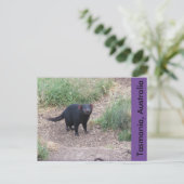 Tasmanian Devil Briefkaart (Staand voorkant)