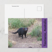 Tasmanian Devil Briefkaart (Voorkant / Achterkant)