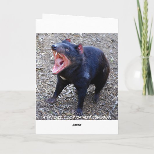 Tasmanian Devil Happy Birthday Kaart (Achterkant)