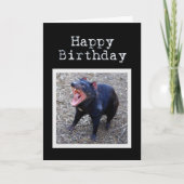 Tasmanian Devil Happy Birthday Kaart (Voorkant)