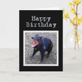 Tasmanian Devil Happy Birthday Kaart (Gele Bloem)