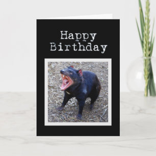 Tasmanian Devil Happy Birthday Kaart