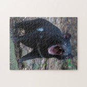 Tasmanian Devil in Tasmania Australia, 252 stuks Legpuzzel (Horizontaal)