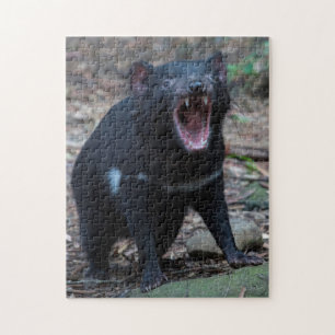 Tasmanian Devil in Tasmania Australia, 252 stuks Legpuzzel