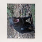 Tasmanian Devil in Tasmania Australia, 520 stuks Legpuzzel (Verticaal)