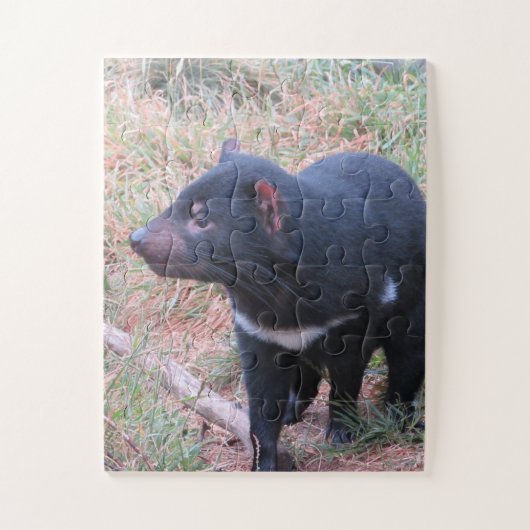 Tasmanian Devil Legpuzzel (Verticaal)
