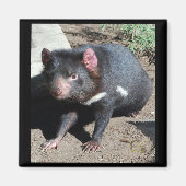 Tasmanian Devil Magneet (Voorkant)