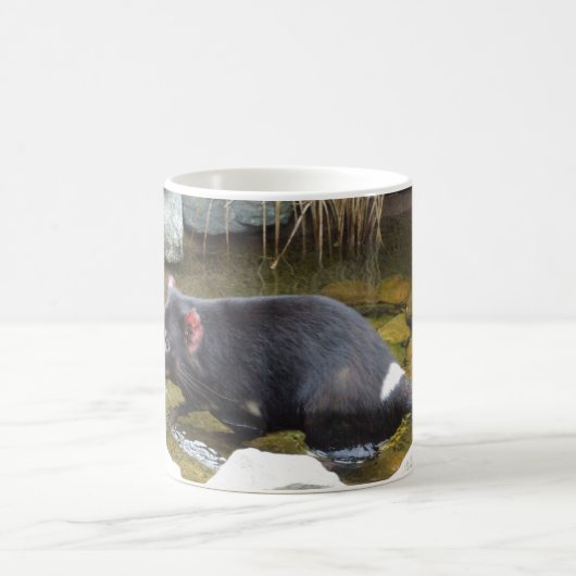 Tasmanian Devil Mok (Center)