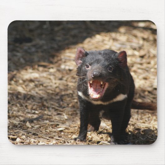 Tasmanian Devil Muismat (Voorkant)