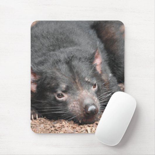 Tasmanian Devil Muismat (Met muis)