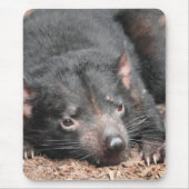 Tasmanian Devil Muismat (Voorkant)