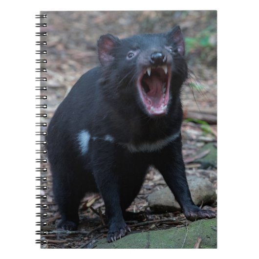 Tasmanian Devil Notitieboek (Voorkant)