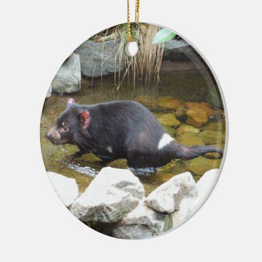 Tasmanian Devil Ornament (Links)