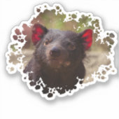 Tasmanian Devil Sticker (Voorkant)