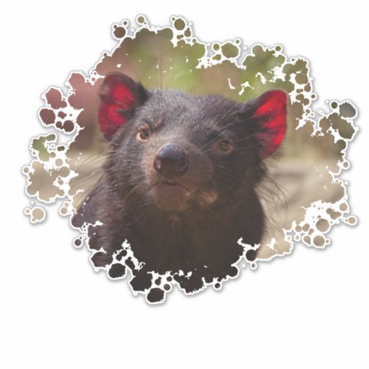 Tasmanian Devil Sticker (Voorkant)