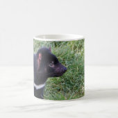 Tasmanian Devil, Tasmania, Australië Koffiemok (Center)
