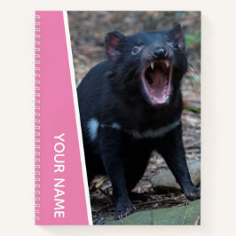 Tasmanian Devil, Tasmania, Australië, Roze Notitieboek