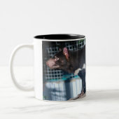 Tasmanian Devil Tweekleurige Koffiemok (Links)