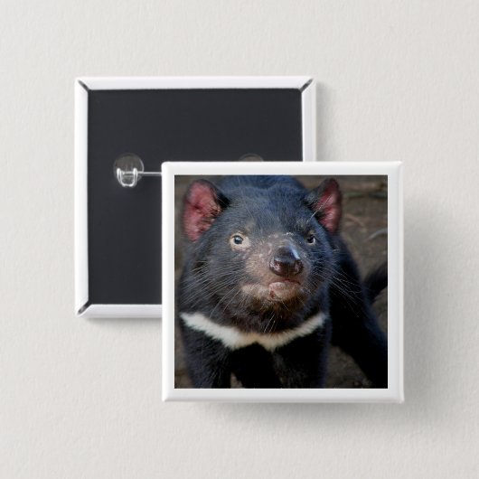 Tasmanian Devil Vierkante Button 5,1 Cm (Voorkant /achterkant)